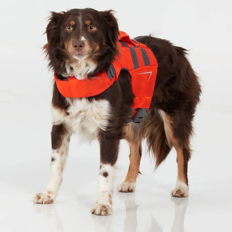 Load image into Gallery viewer, Schwimmweste für Hunde von NRS in orange mit Hund
