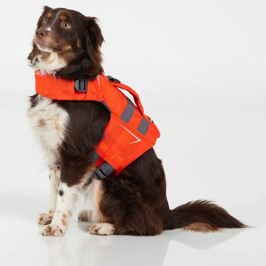 Schwimmweste für Hunde von NRS in orange mit Hund
